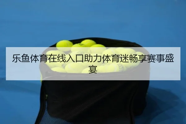 乐鱼体育在线入口助力体育迷畅享赛事盛宴